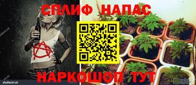 гашиш Дубна