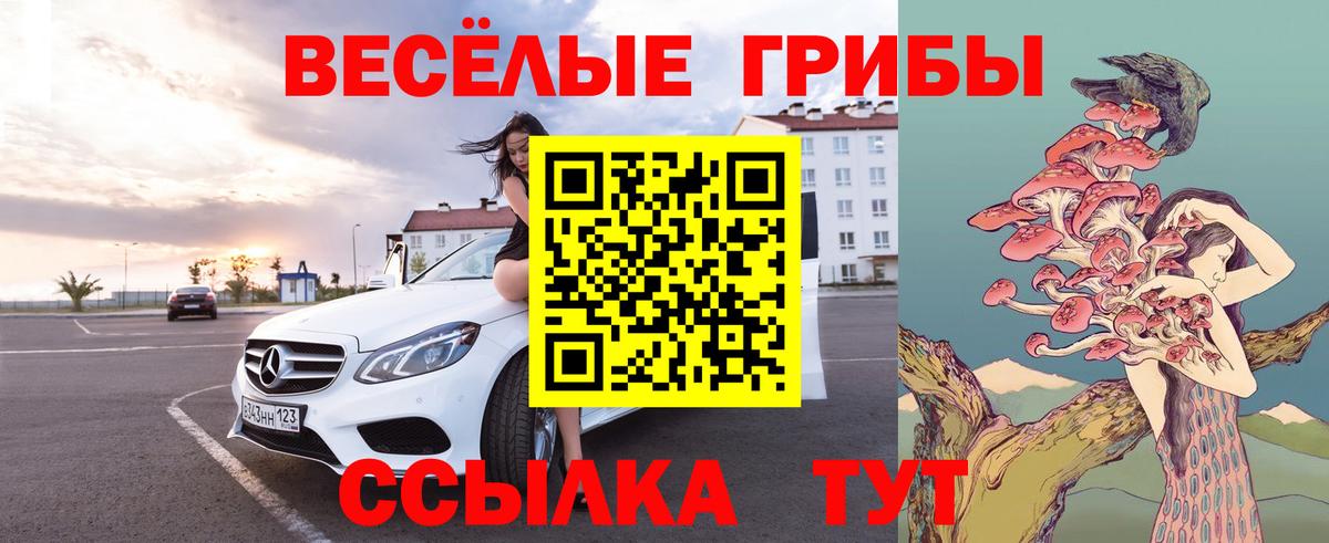 Галлюциногенные грибы мицелий Луховицы