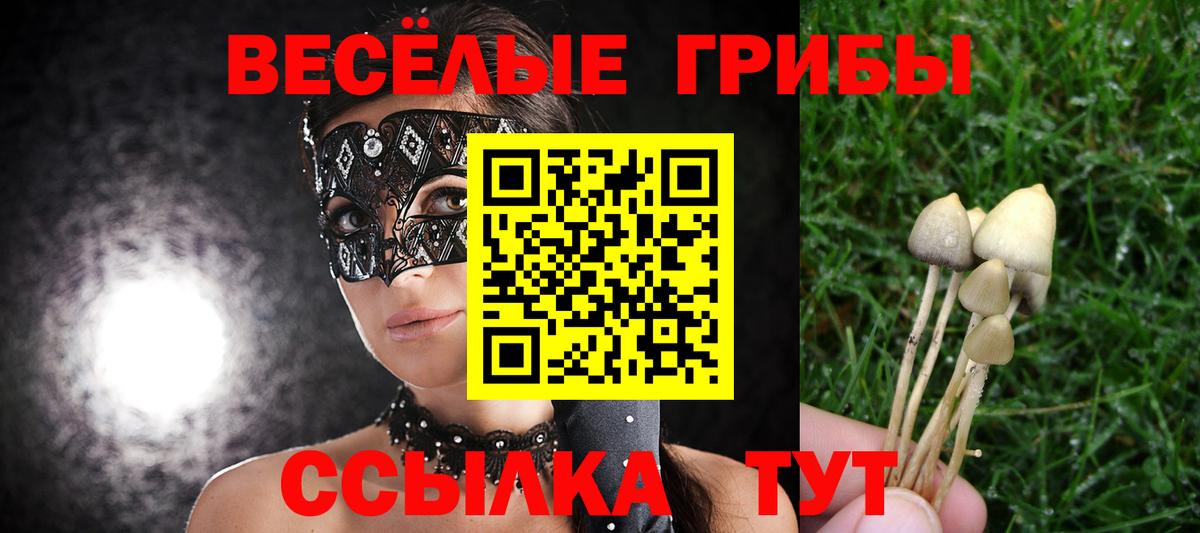 Бошки Шишки Луховицы